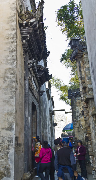 _MG_3173.jpg
