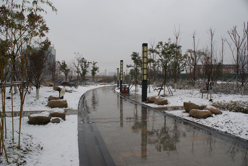 DSC02095.JPG