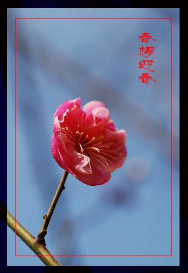 DSC_7426_conew3.JPG