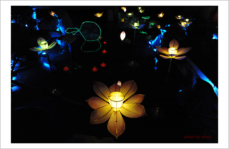 ���Ŷ��ĺɻ���