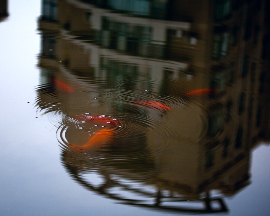 ֣������Ʒ���������С� .jpg