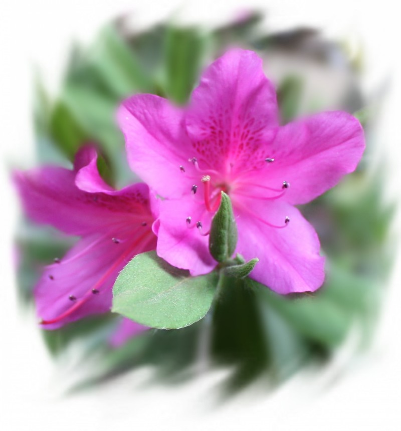 2.13.4.8��ʯ��԰ 026_conew2.jpg