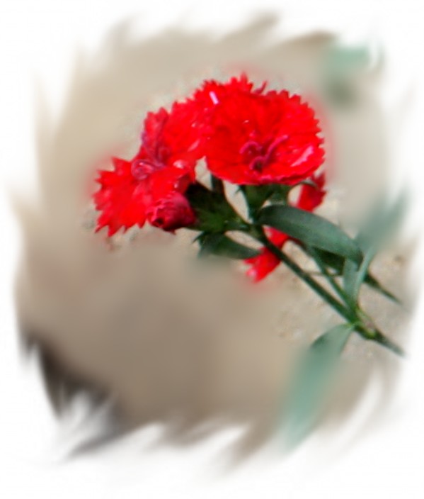 2.13.4.8��ʯ��԰ 048_conew2.jpg