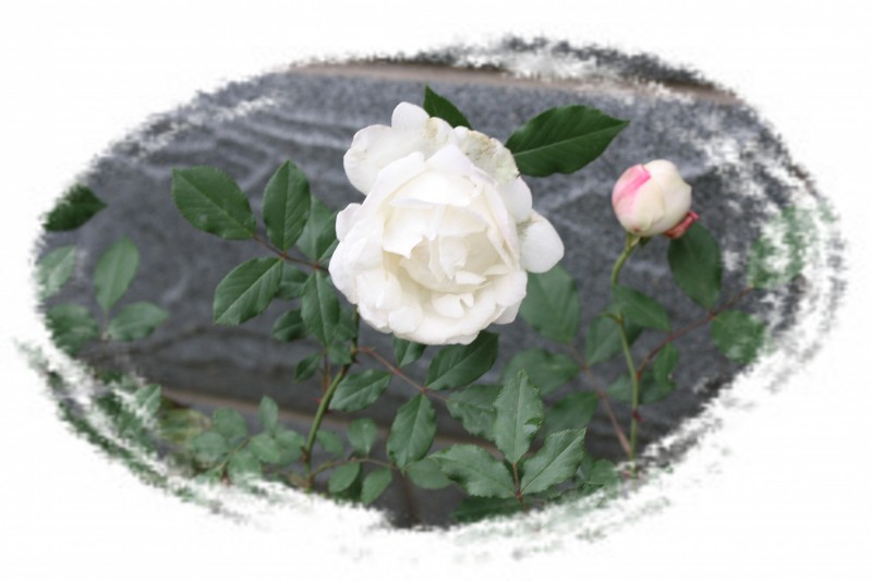 2.13.4.8��ʯ��԰ 064_conew2.jpg