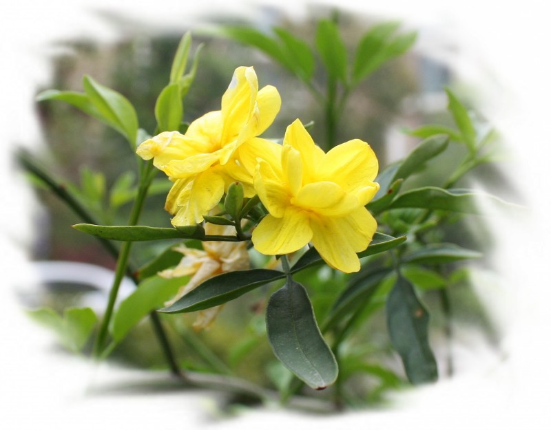 2.13.4.8��ʯ��԰ 092_conew3.jpg