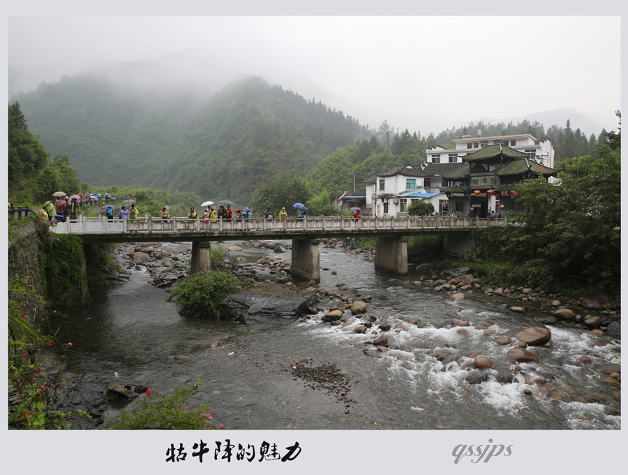 AD4A0124 ����.jpg