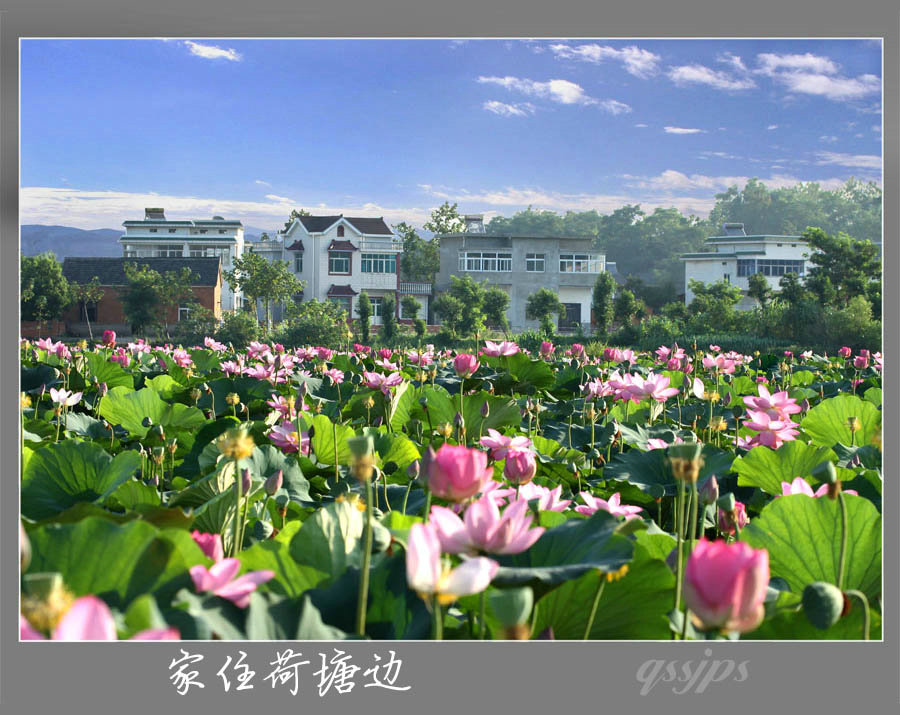 IMG_8924 ����.jpg