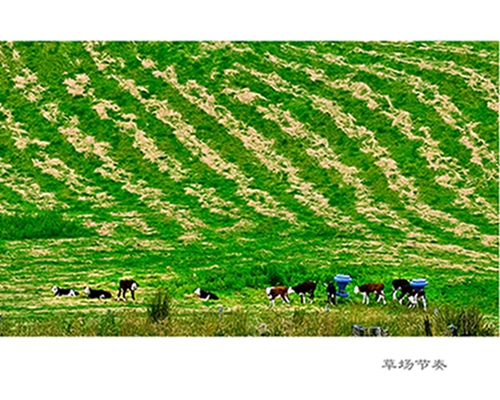 ������ (3).jpg