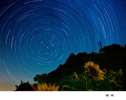 ��֥���� ����.jpg