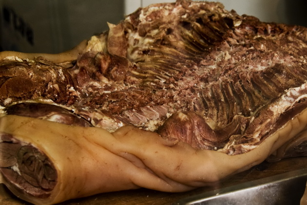 �����ʵ��չʾ