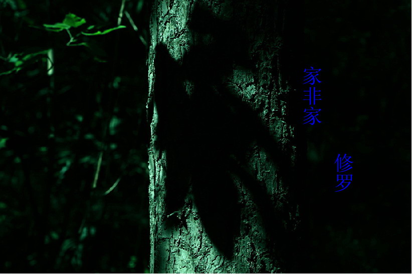 13ڼүүĵ.jpg