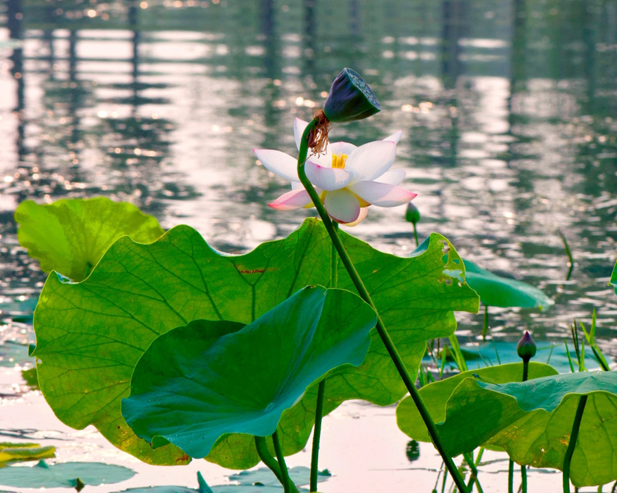 �Ź��� (1).JPG