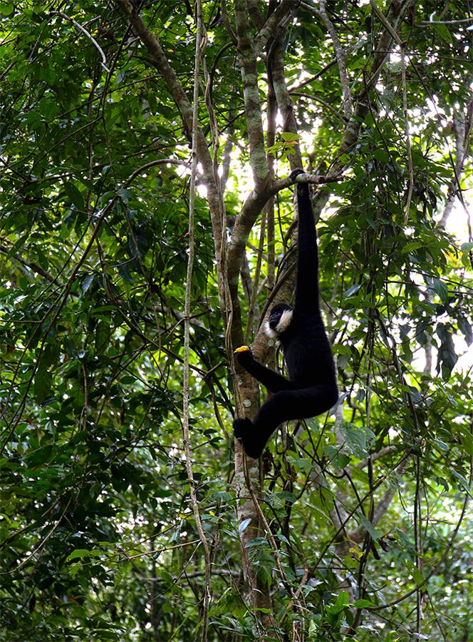 Ұ������Գ