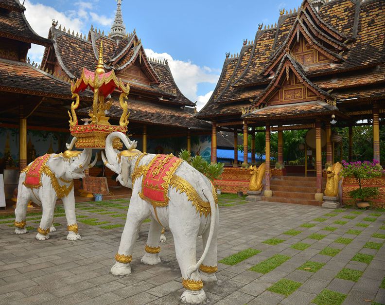 ��˫����