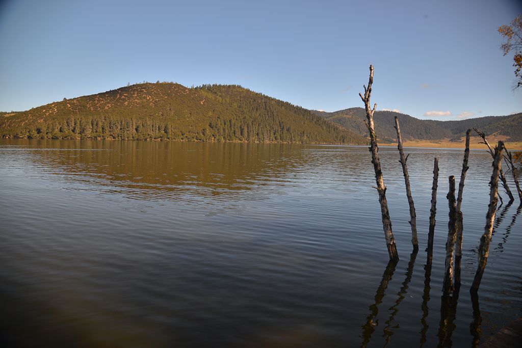 ��Ƭ 986_����.jpg