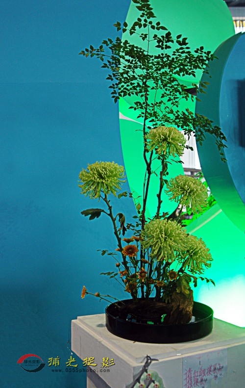 ���޻�����Ʒ��