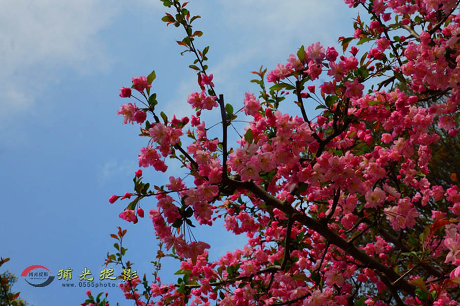 DSC00636_���� - ����.jpg