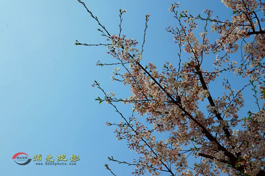 DSC00648_���� - ���� - ���� - ����.jpg