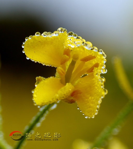 0R8A4769 ����.jpg