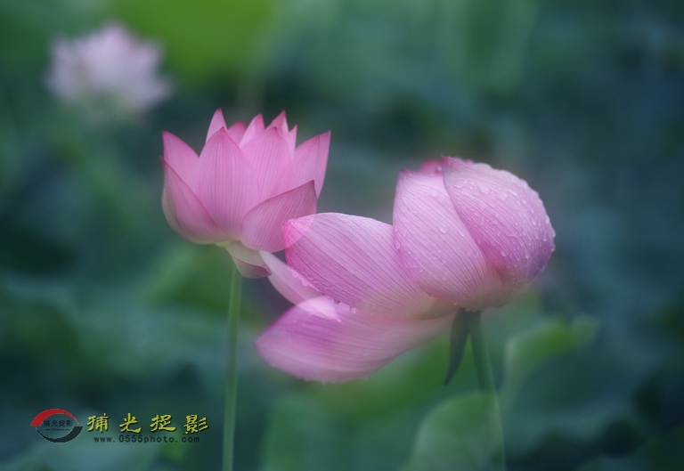 ���� IMG_5686.JPG