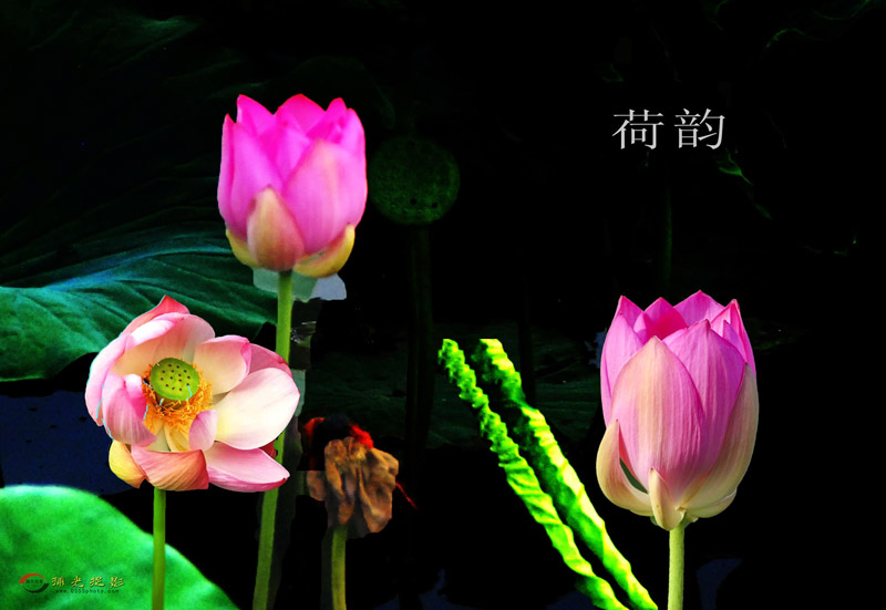 �ɻ��������á�..................