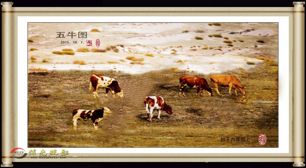 ����������ţͼ