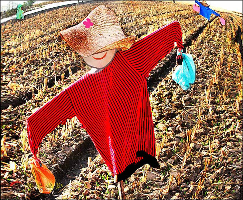 ��԰����ʿ��3 - ����.jpg