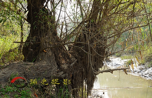 DSC03368_���� - ����.jpg