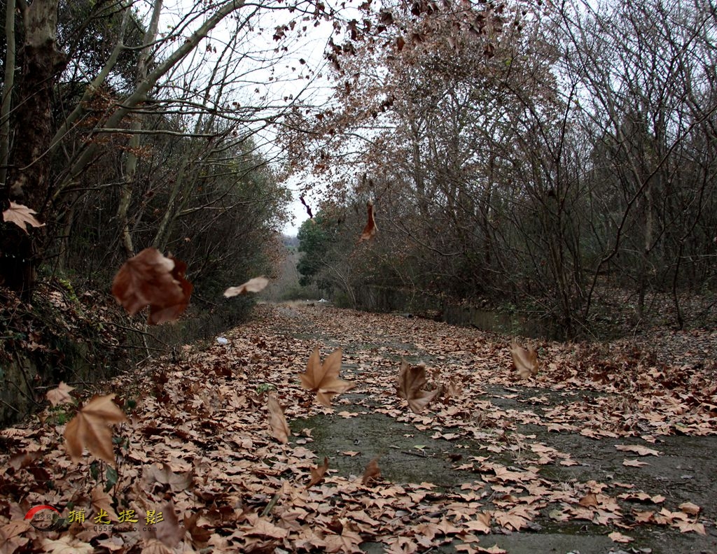 ��Ҷ (��).jpg