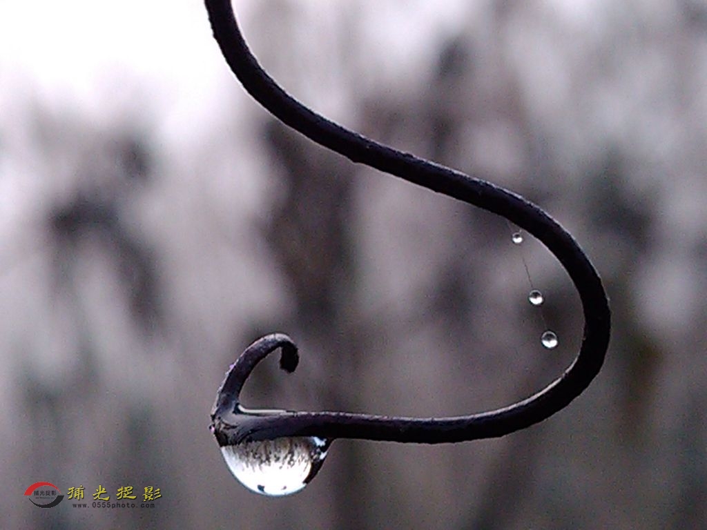 �ֻ�΢�� (5).jpg