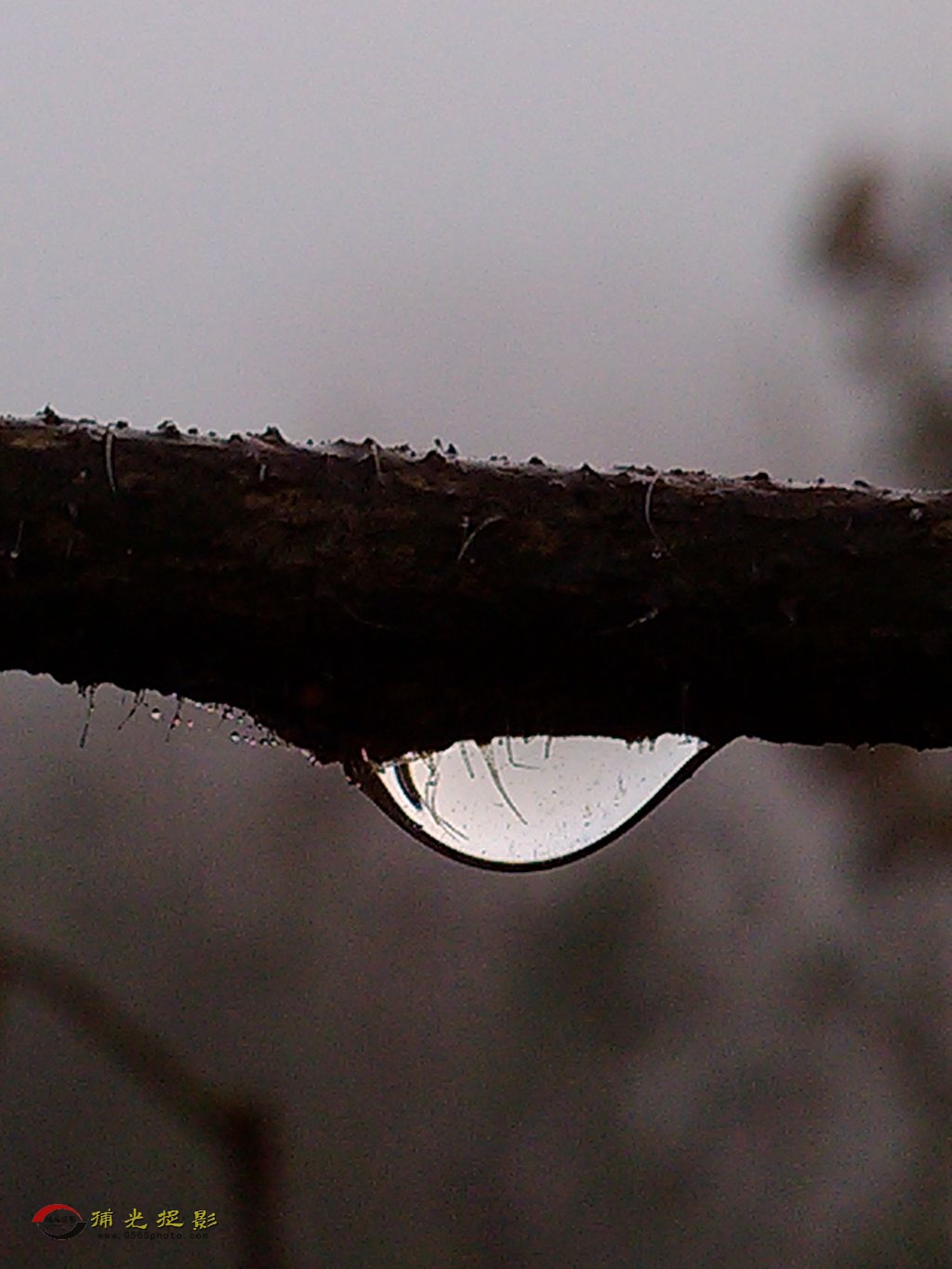 �ֻ�΢�� (1).jpg