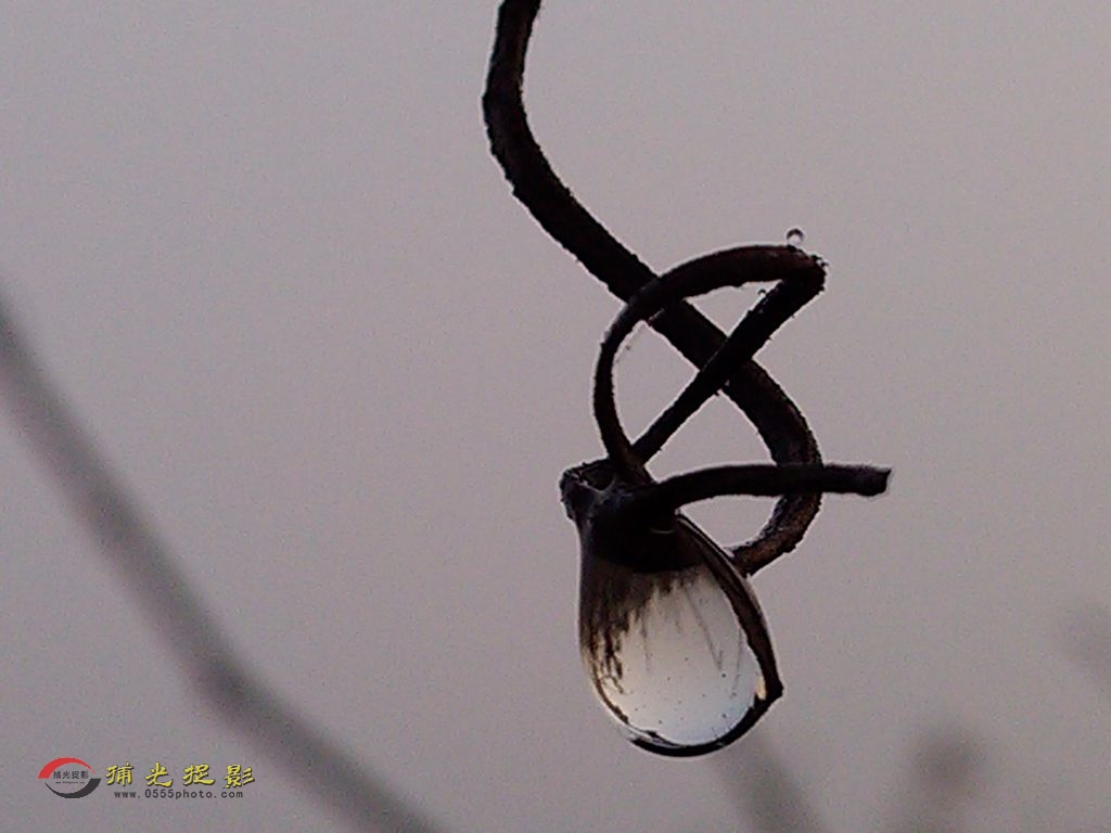 �ֻ�΢�� (4).jpg