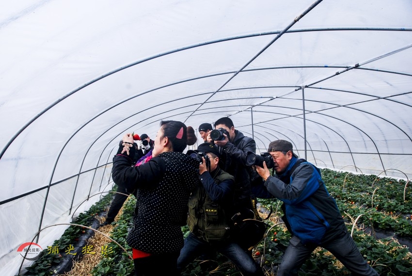 Ϊ��÷���ľ�ͷ