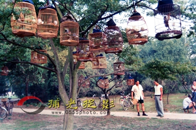 2.����Ȥ��  ������.JPG