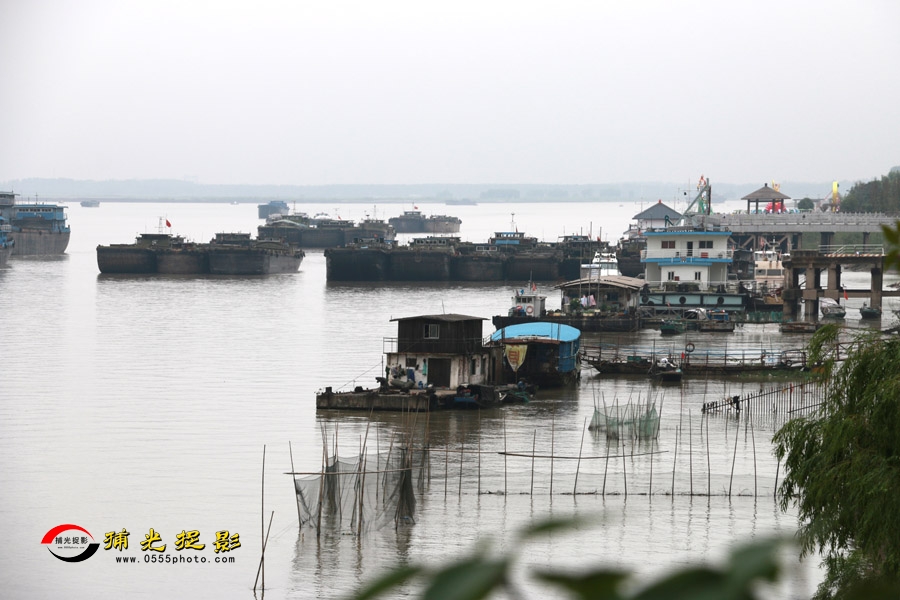 064�� ţ����� ����С��.jpg