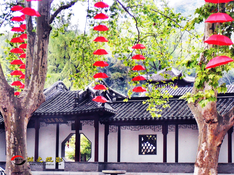 ��ƺ�ɡ��ӳ�� (3).jpg