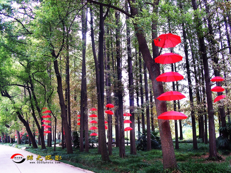 ��ƺ�ɡ��ӳ�� (4).jpg