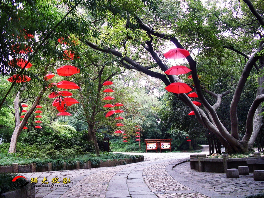 ��ƺ�ɡ��ӳ�� (7).jpg