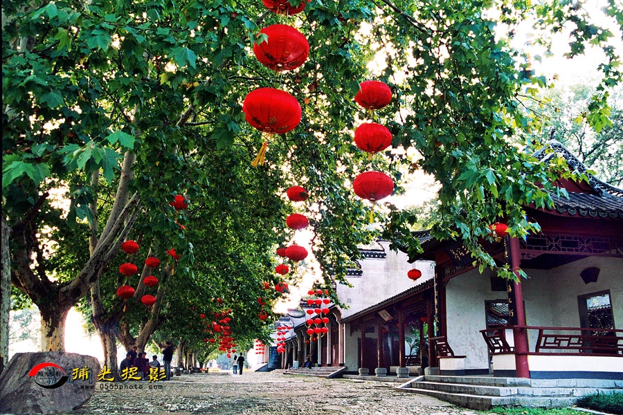 ��ƺ�ɡ��ӳ�� (9).jpg