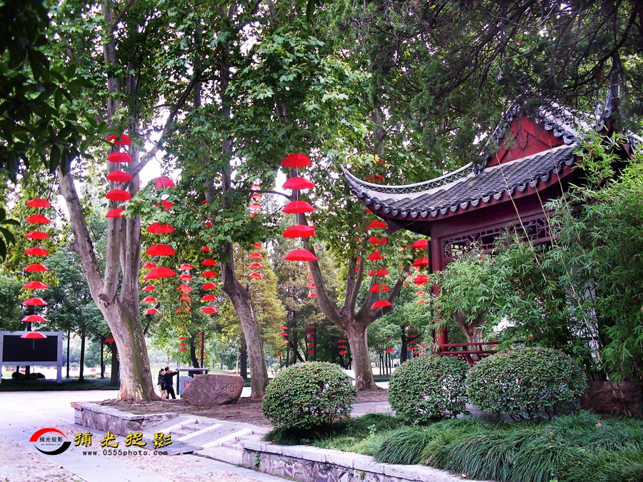 ��ƺ�ɡ��ӳ�� (10).jpg