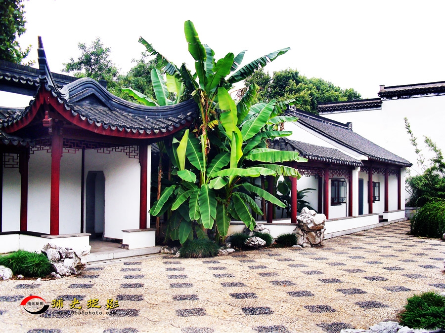 ��ʯ��԰С��ѡ (1).jpg