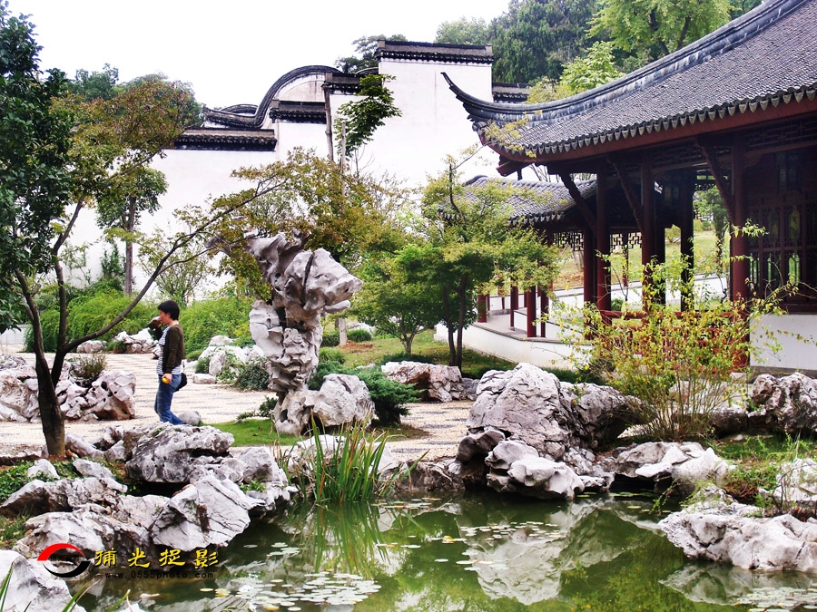 ��ʯ��԰С��ѡ (2).jpg