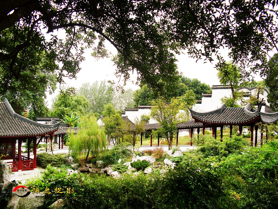 ��ʯ��԰С��ѡ (3).jpg