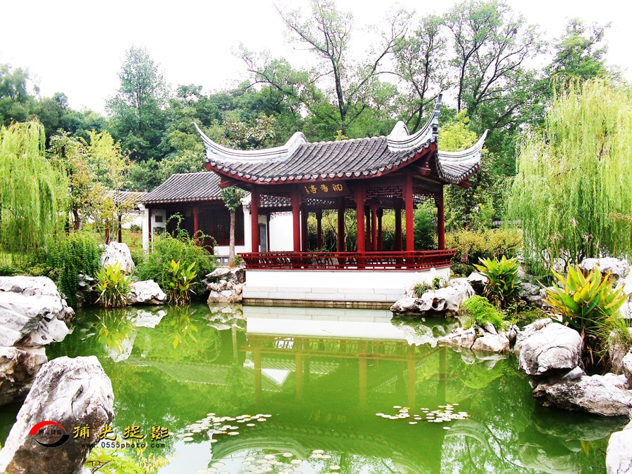 ��ʯ��԰С��ѡ (4).jpg