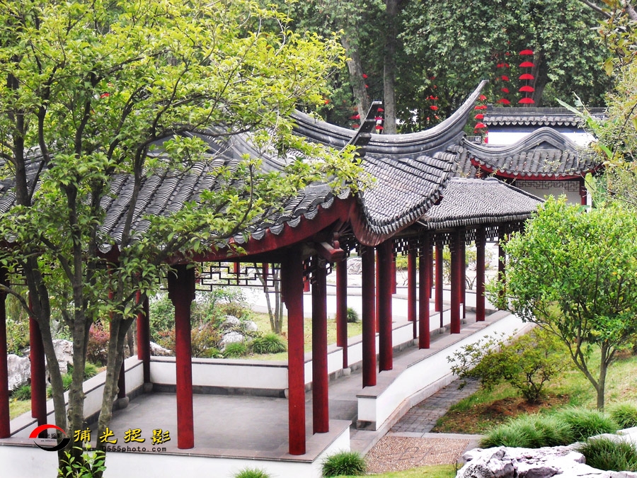 ��ʯ��԰С��ѡ (6).jpg