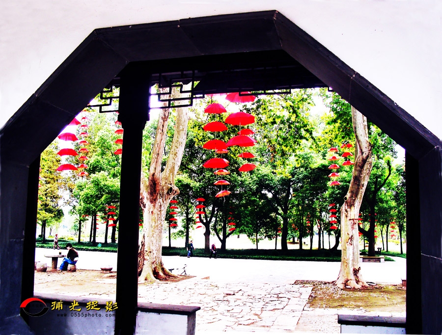 ��ʯ��԰С��ѡ (8).jpg