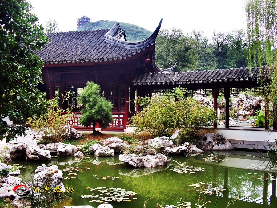 ��ʯ��԰С��ѡ (9).jpg