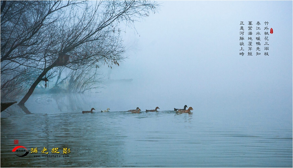 ����ˮů  ������.jpg