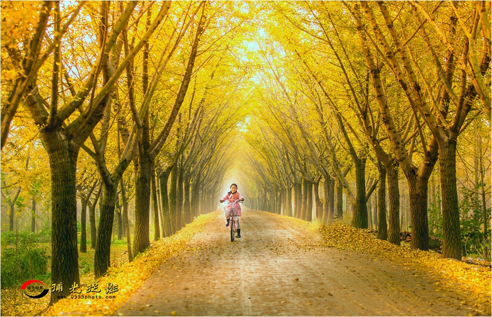 ��ɫ�껪  ��άϼ.jpg