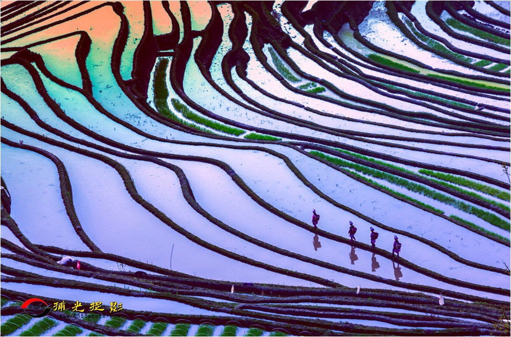 ��԰����  �ſ���.jpg